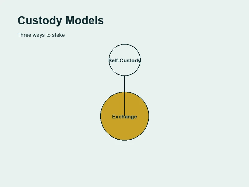 Illustration comparing exchange, self-custody, and liquid staking as three distinct paths